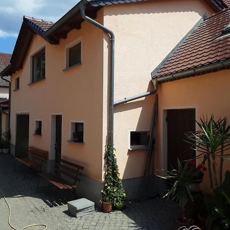 Tauscha Ferienwohnung Auf Den Bauernhof מראה חיצוני תמונה