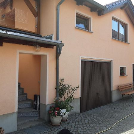 Tauscha Ferienwohnung Auf Den Bauernhof מראה חיצוני תמונה
