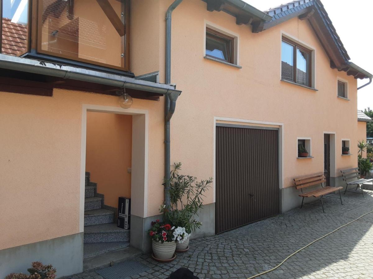 Tauscha Ferienwohnung Auf Den Bauernhof מראה חיצוני תמונה